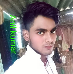 Anil