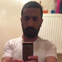 Bulut