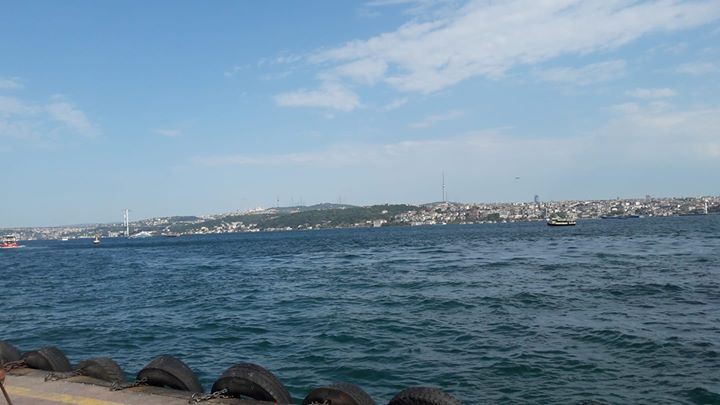 Gul