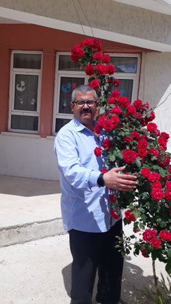 Lokman
