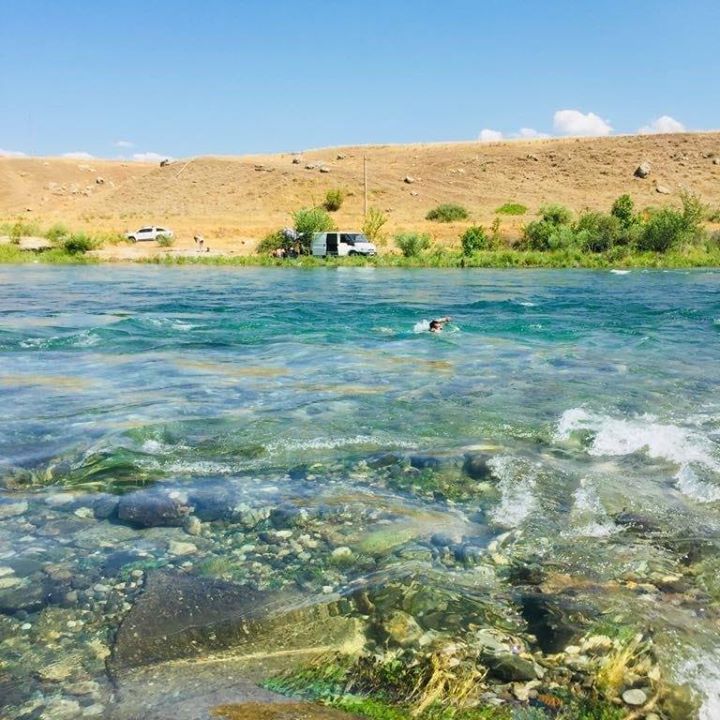 Xalo