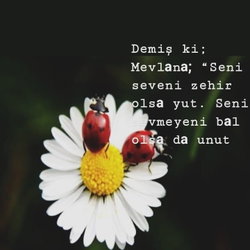 Nevriye
