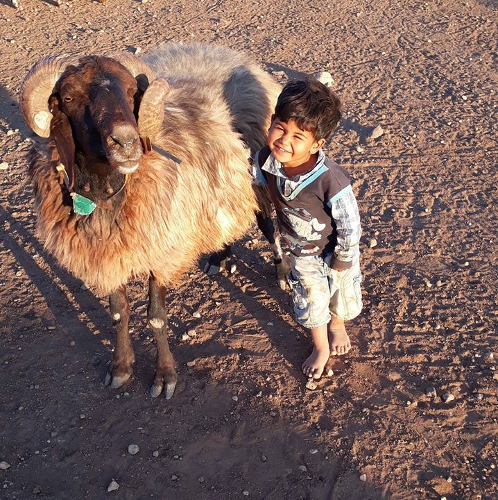 Mustafa