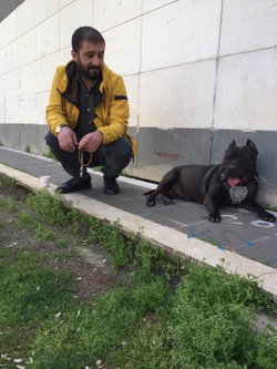 Mehmet