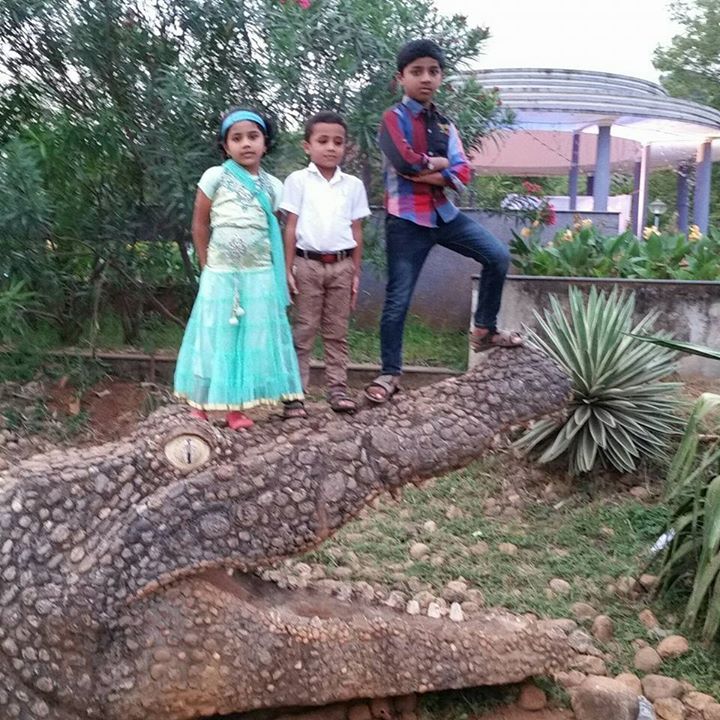 Mujib