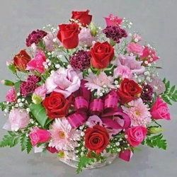 Ammar