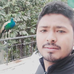 Golu