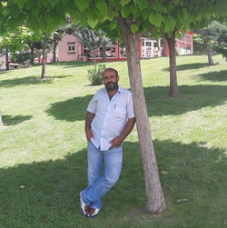 Sedar
