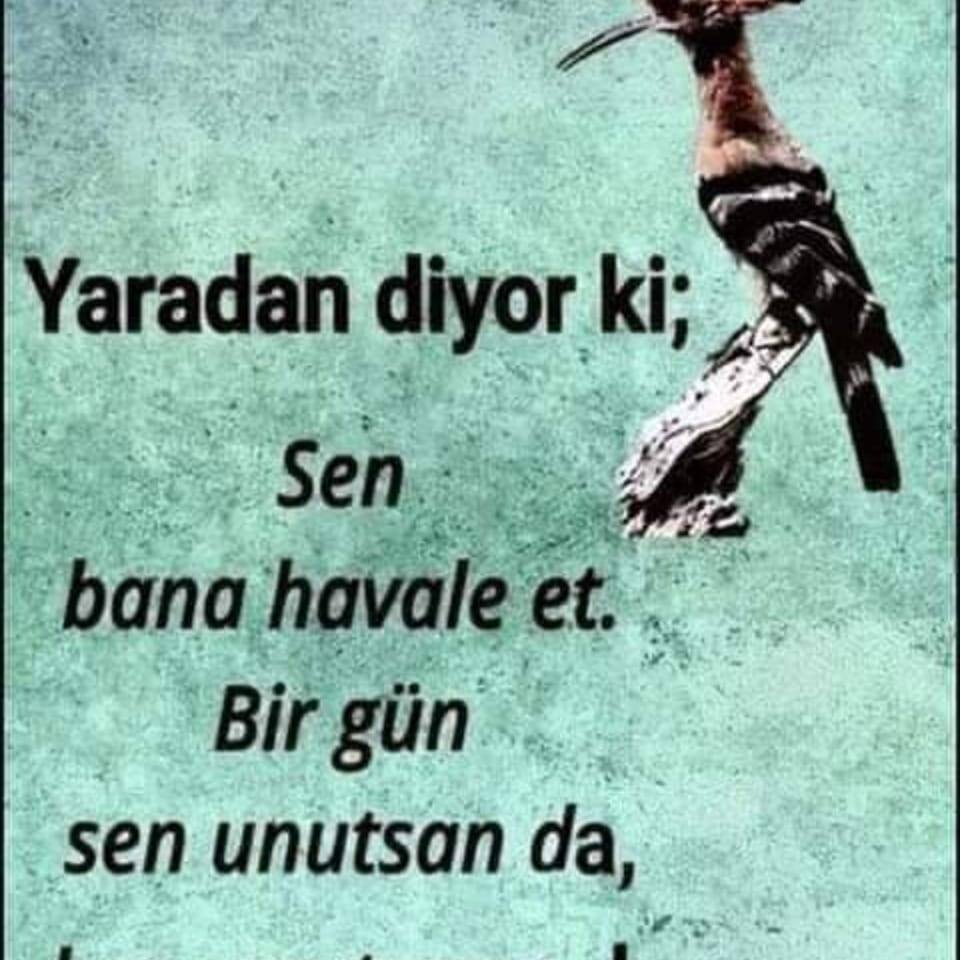 Sümeyye