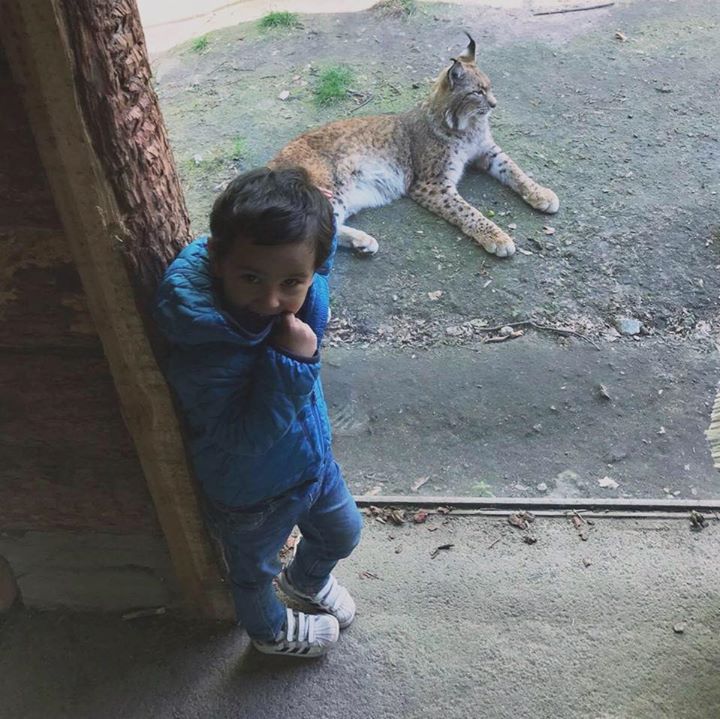 Gökhan