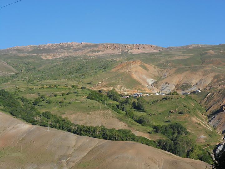 Musa