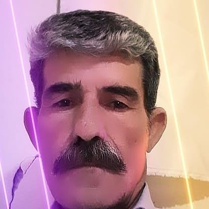 Gul
