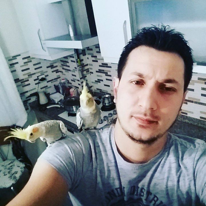 Dogan