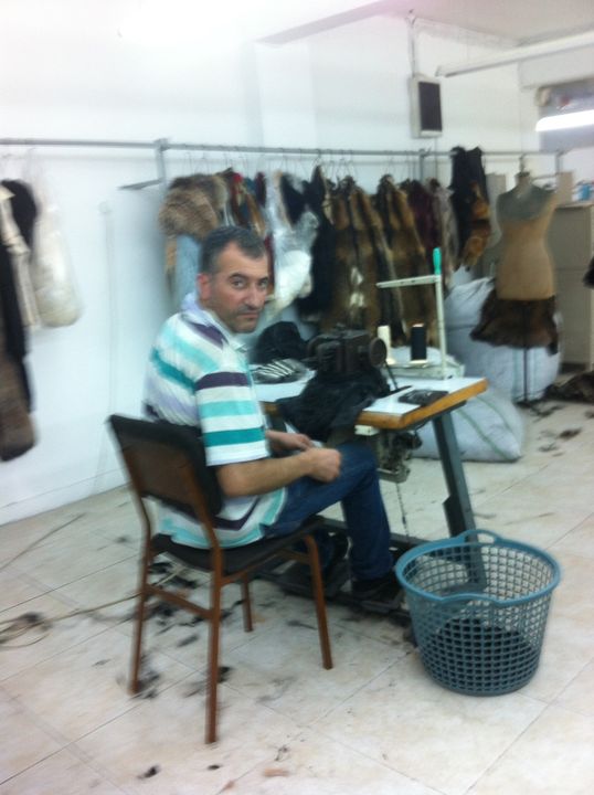 Ecevit