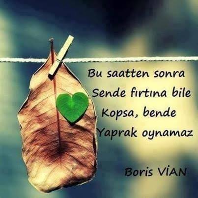 Mehtap