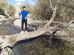 Tuncay