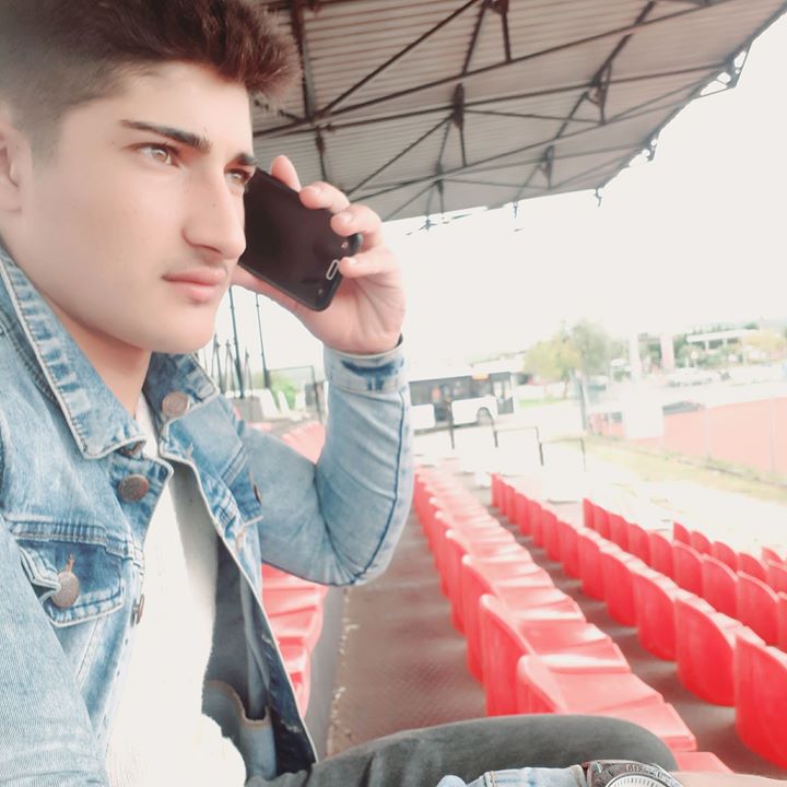 Şahin