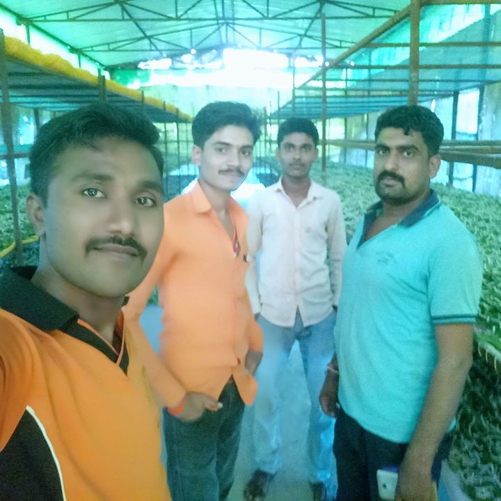 Amar