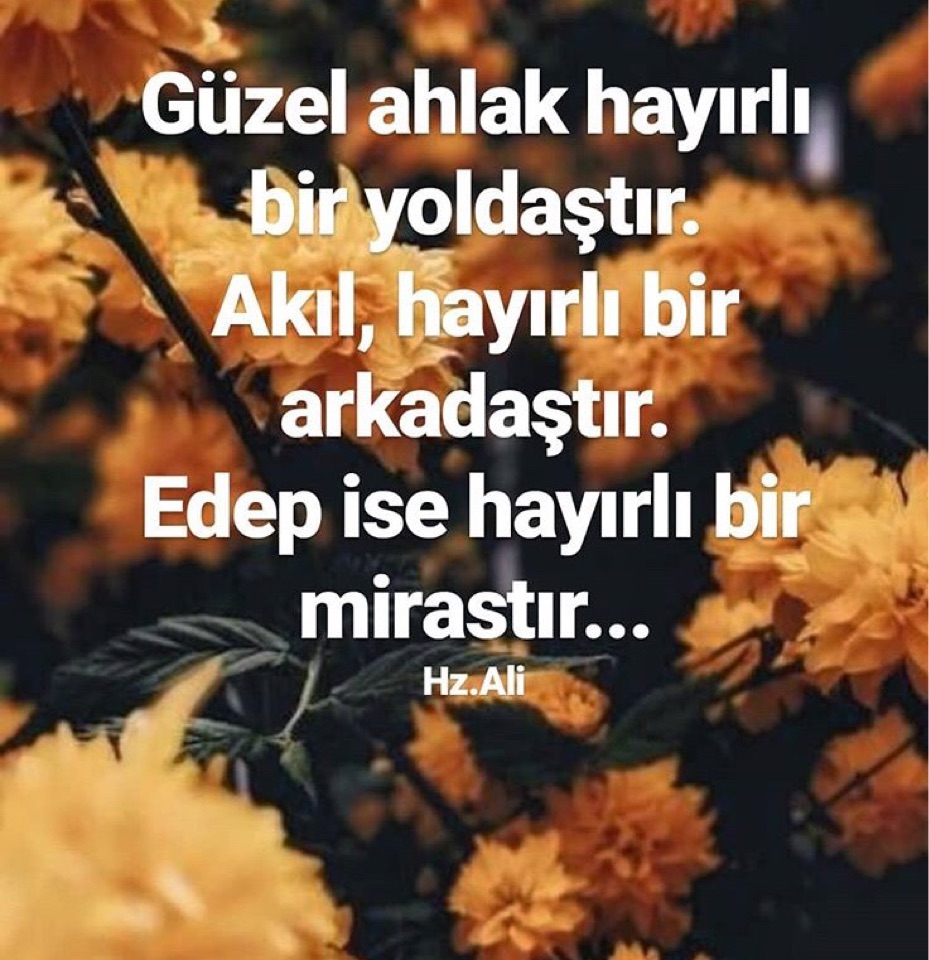 Engin
