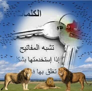 محمد