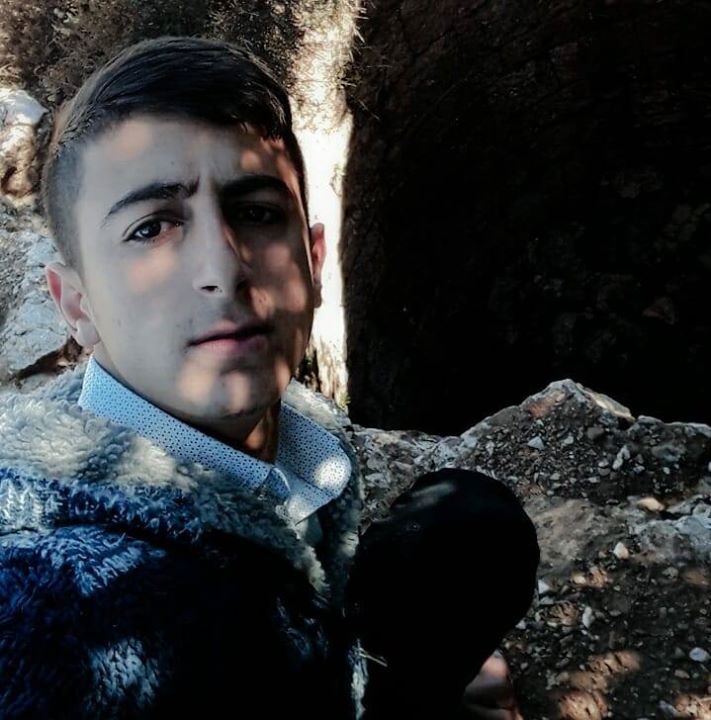 Doğan