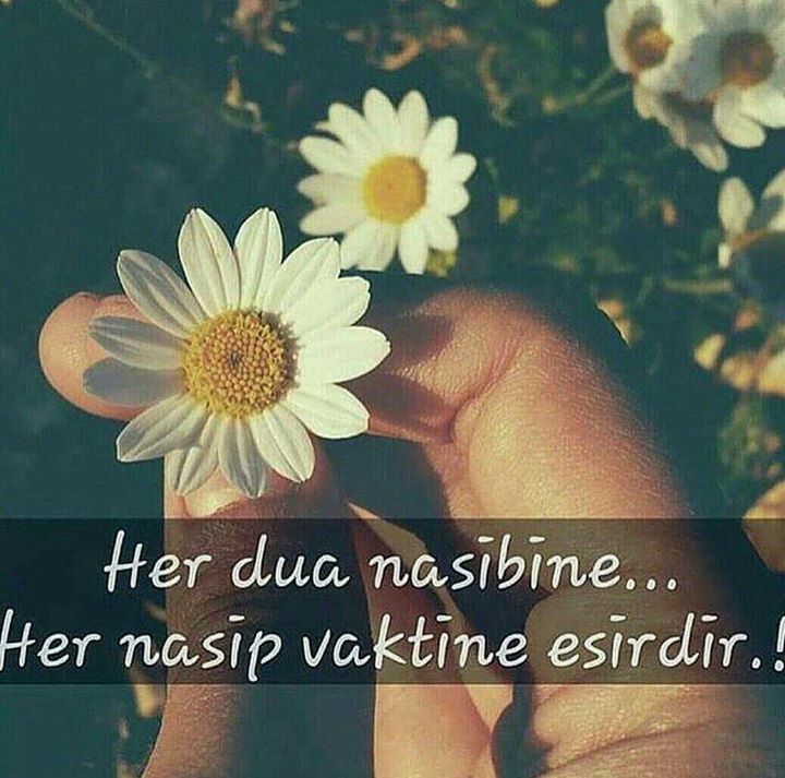 Hatice