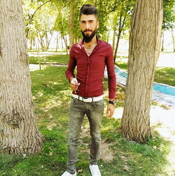 Vedat