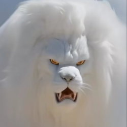 فرید