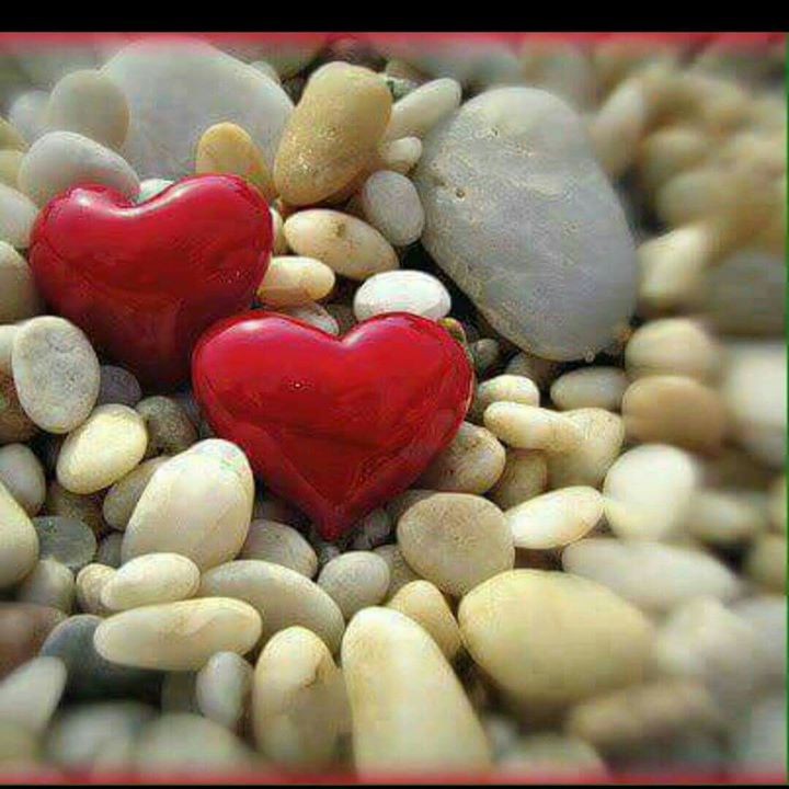 Safar