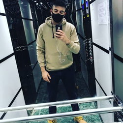 Şahin