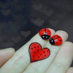Buse