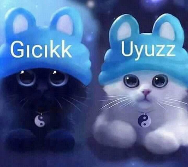 Rabiaa