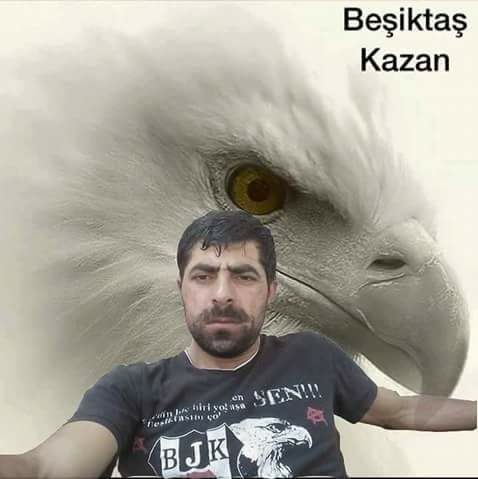 Siverekli