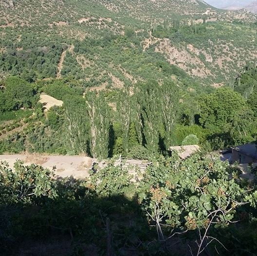 Medeni