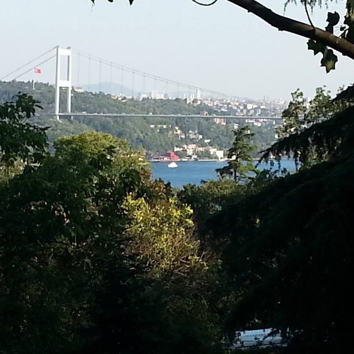 Murat