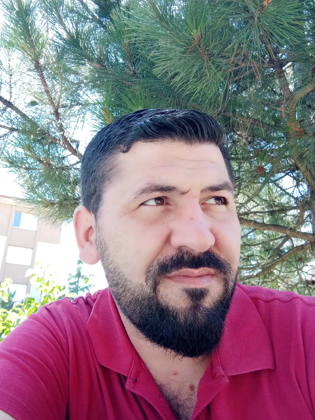 Bekir