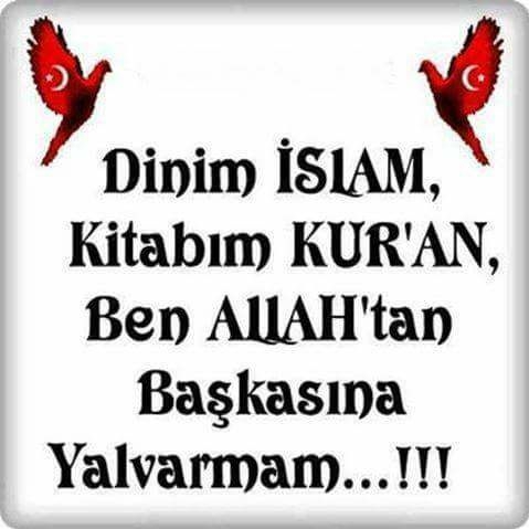 Orhan