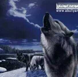 بيناف