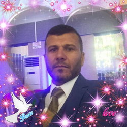 Ammar