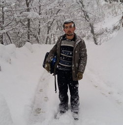 Tarık