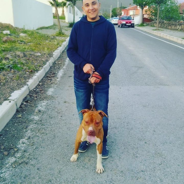 Samim
