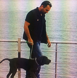 Murat