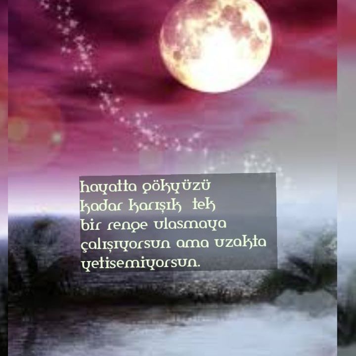 Sevgi