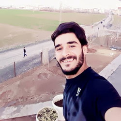 Faris