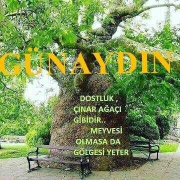 Şerife