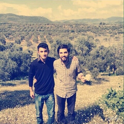 Doğan