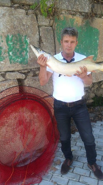 Mehmet