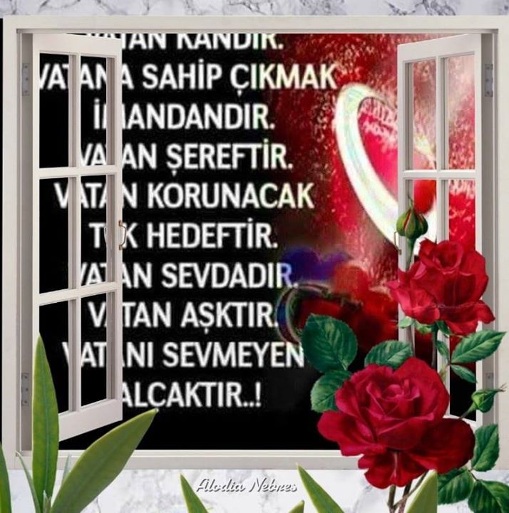 Erol