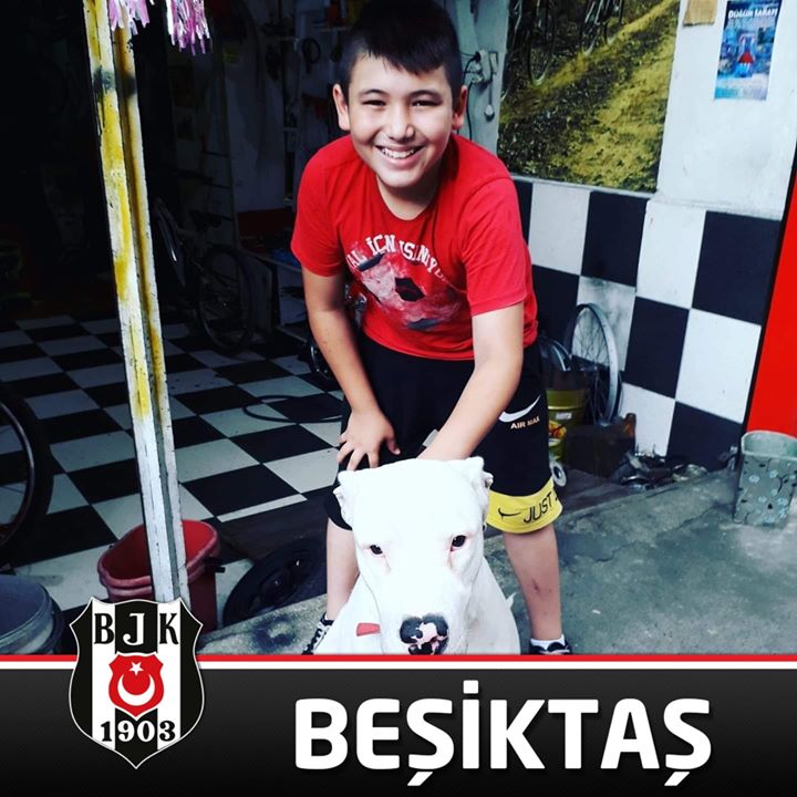 Çağrı