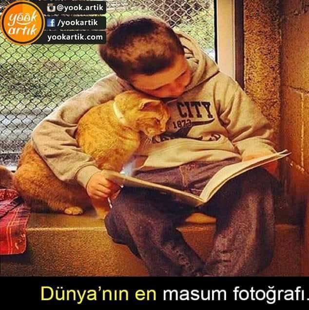 Aniqullah